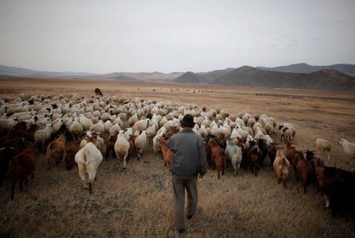 Сельское хозяйство Монгольской Народной Республики
